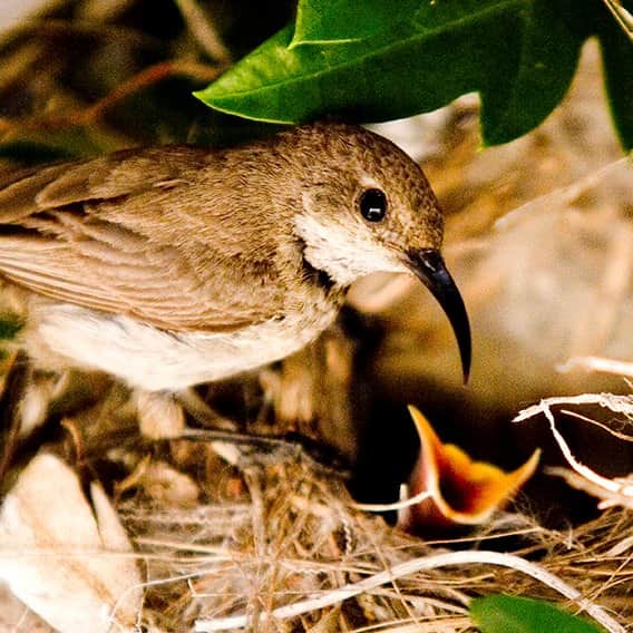 צילום 1 מאת הדפסה על קנבס - הדפסות על קנבס | גלריה רעות