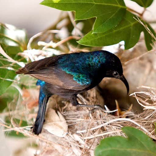 צילום 3 מאת הדפסה על קנבס - הדפסות על קנבס | גלריה רעות